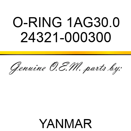 O-RING, 1AG30.0 24321-000300