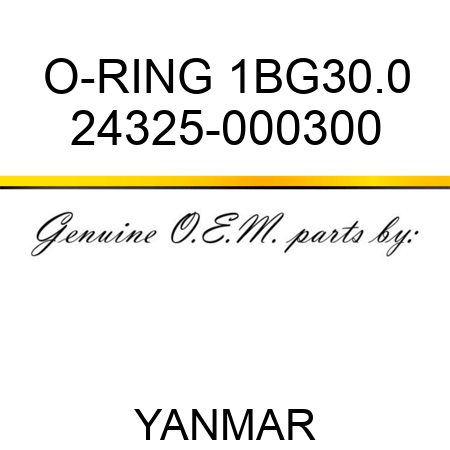 O-RING, 1BG30.0 24325-000300