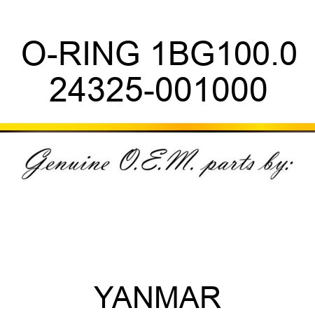 O-RING, 1BG100.0 24325-001000