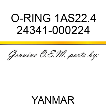 O-RING, 1AS22.4 24341-000224