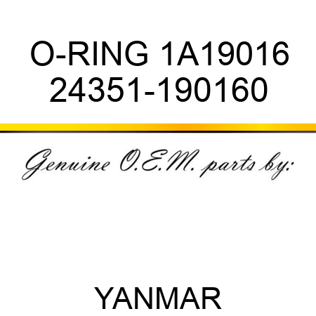 O-RING, 1A19016 24351-190160