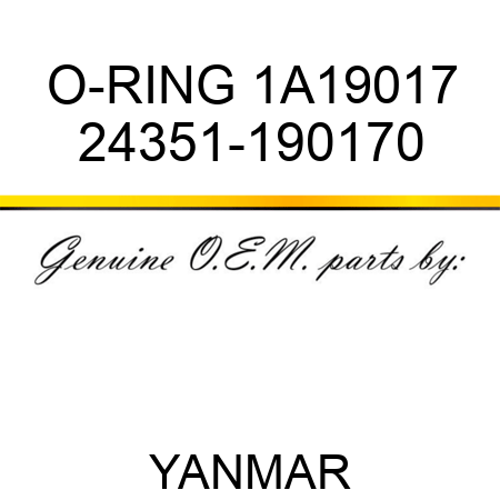 O-RING, 1A19017 24351-190170
