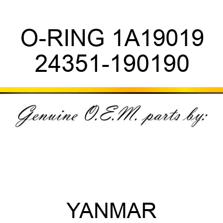 O-RING, 1A19019 24351-190190