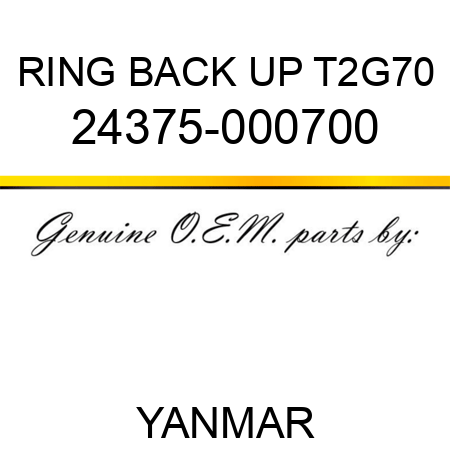 RING, BACK UP T2G70 24375-000700