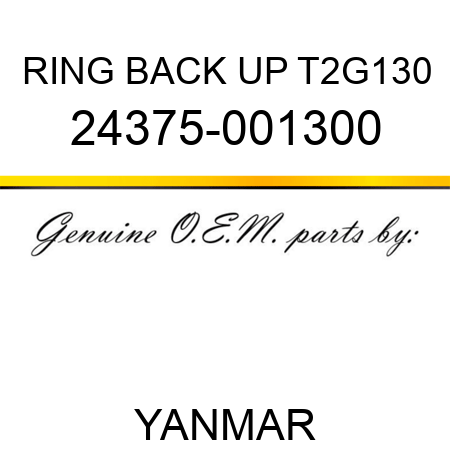 RING, BACK UP T2G130 24375-001300