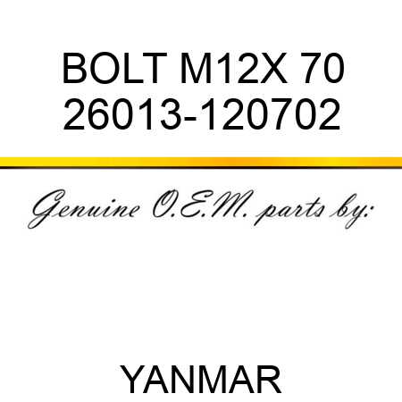 BOLT, M12X 70 26013-120702