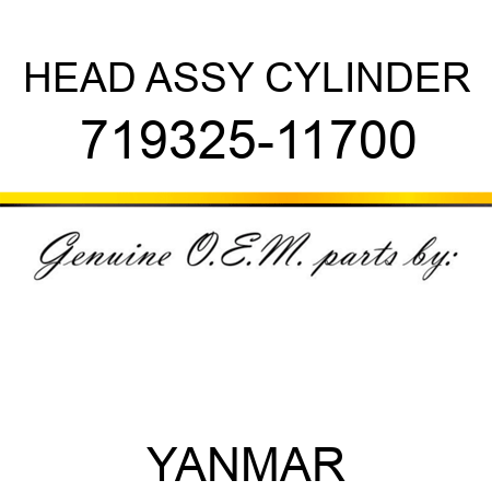 HEAD ASSY, CYLINDER 719325-11700