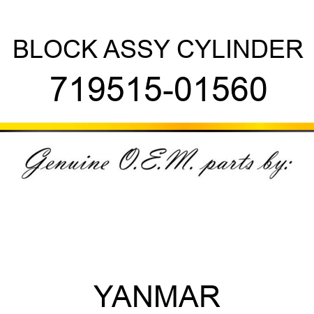 BLOCK ASSY, CYLINDER 719515-01560