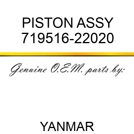 PISTON ASSY 719516-22020