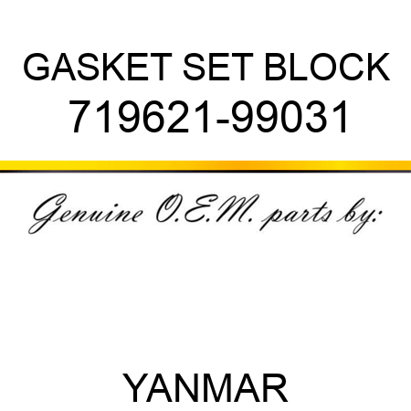 GASKET SET, BLOCK 719621-99031