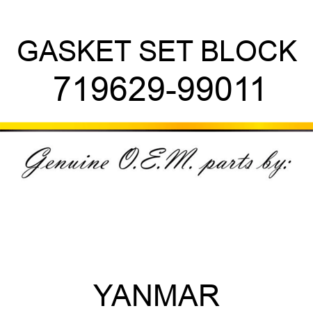 GASKET SET, BLOCK 719629-99011