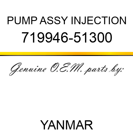 PUMP ASSY, INJECTION 719946-51300
