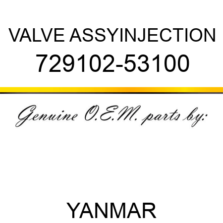 VALVE ASSY,INJECTION 729102-53100