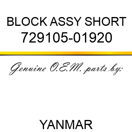 BLOCK ASSY, SHORT 729105-01920
