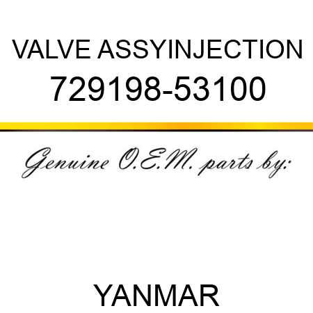 VALVE ASSY,INJECTION 729198-53100