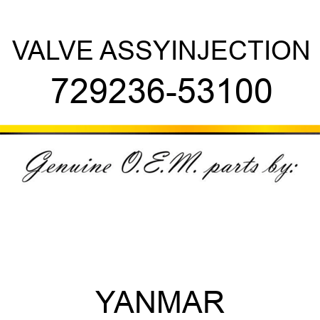 VALVE ASSY,INJECTION 729236-53100