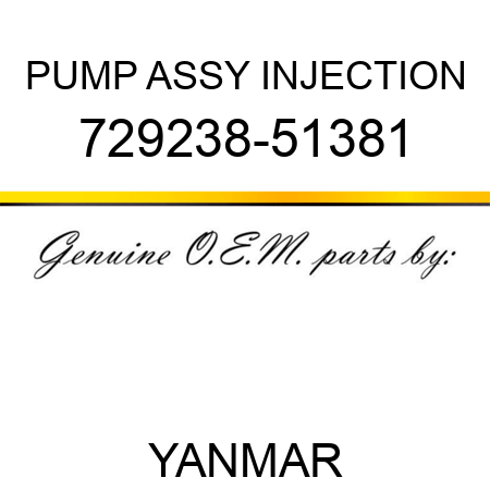 PUMP ASSY, INJECTION 729238-51381