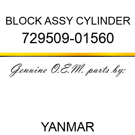 BLOCK ASSY, CYLINDER 729509-01560
