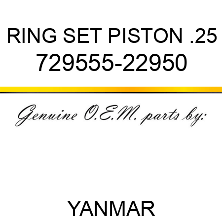 RING SET, PISTON .25 729555-22950