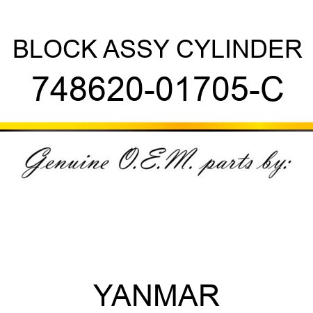 BLOCK ASSY, CYLINDER 748620-01705-C