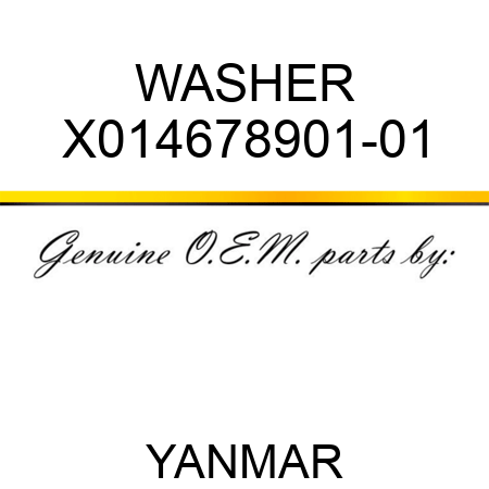 WASHER X014678901-01