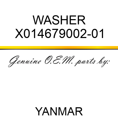 WASHER X014679002-01