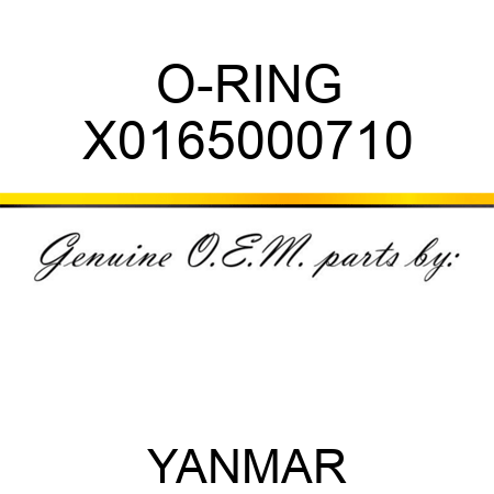 O-RING X0165000710