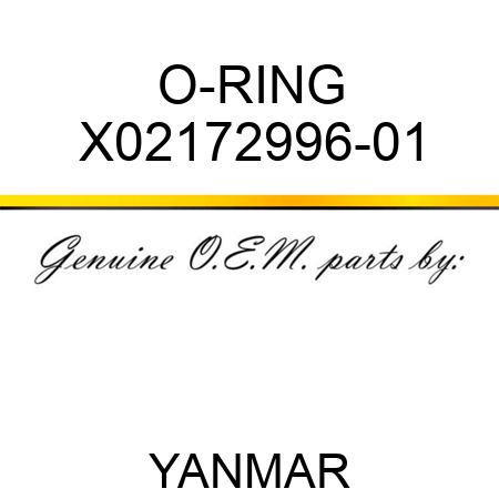 O-RING X02172996-01