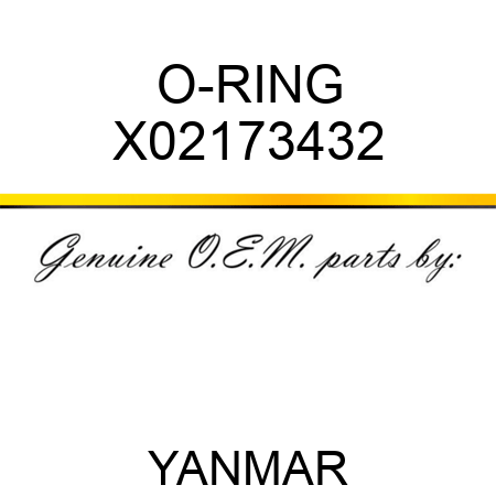 O-RING X02173432