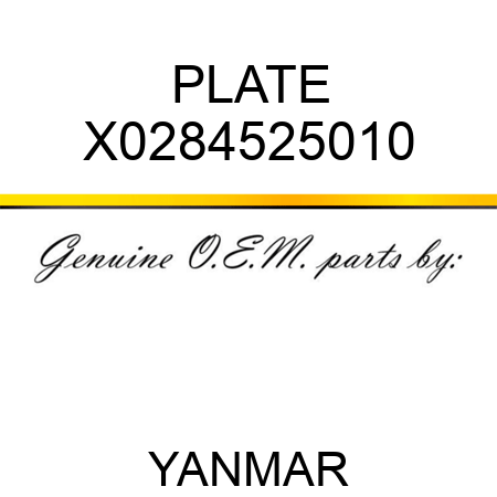 PLATE X0284525010