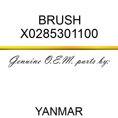 BRUSH X0285301100