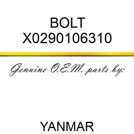 BOLT X0290106310