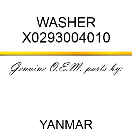 WASHER X0293004010