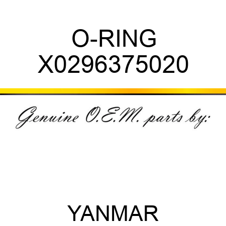 O-RING X0296375020