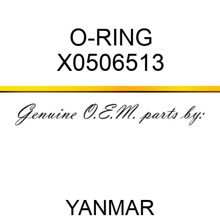 O-RING X0506513