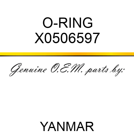 O-RING X0506597