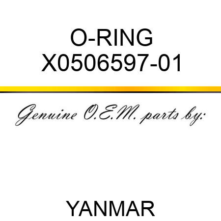 O-RING X0506597-01