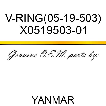 V-RING(05-19-503) X0519503-01