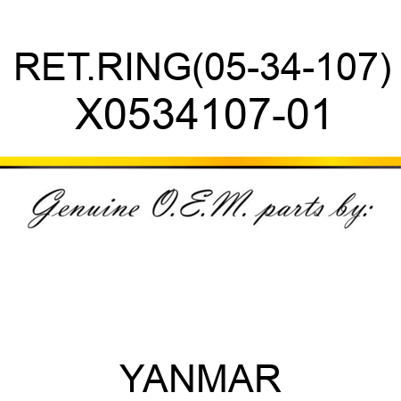 RET.RING(05-34-107) X0534107-01