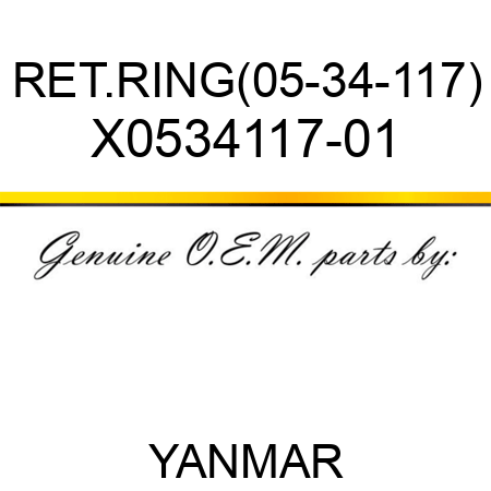 RET.RING(05-34-117) X0534117-01