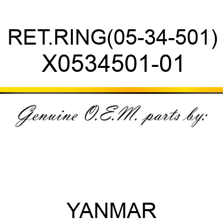 RET.RING(05-34-501) X0534501-01