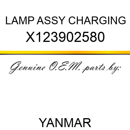 LAMP ASSY, CHARGING X123902580