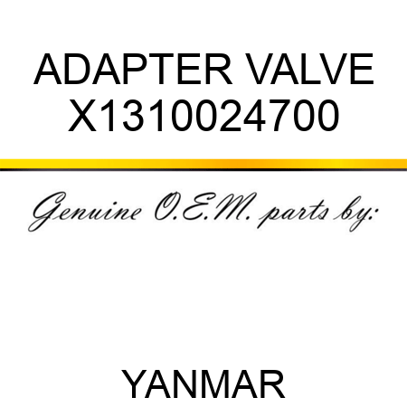 ADAPTER, VALVE X1310024700