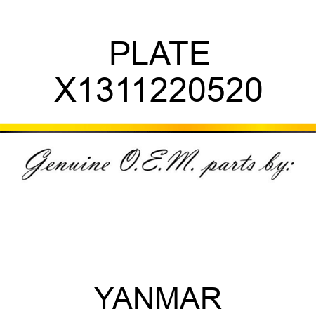 PLATE X1311220520