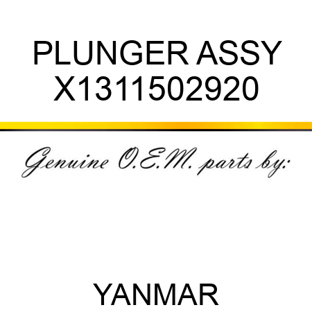 PLUNGER ASSY X1311502920