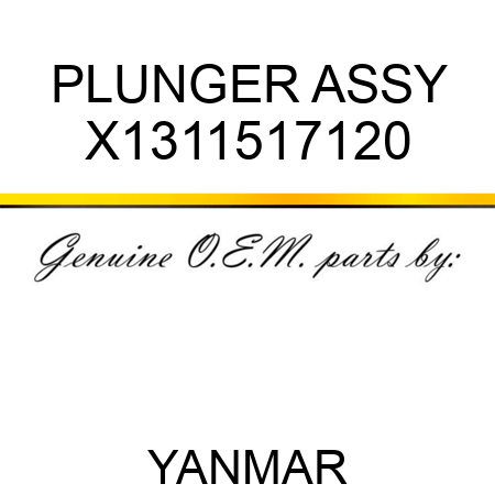 PLUNGER ASSY X1311517120