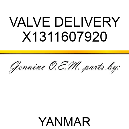 VALVE, DELIVERY X1311607920