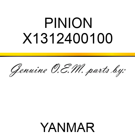 PINION X1312400100