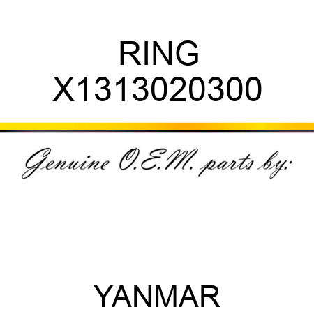 RING X1313020300