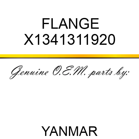 FLANGE X1341311920